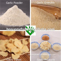 European Quality Factory Supplied Dried Garlic Cut